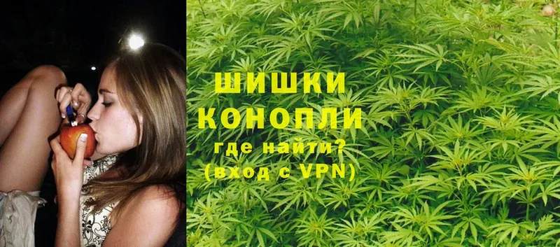 Бошки марихуана OG Kush  хочу   Лосино-Петровский 